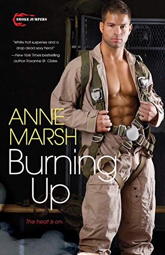 Burning Up book cover