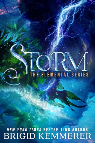 Storm book cover