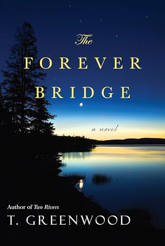The Forever Bridge book cover