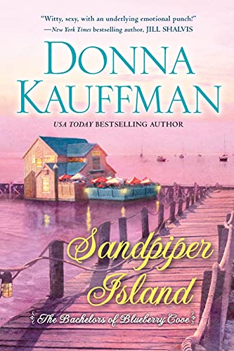 Sandpiper Island book cover