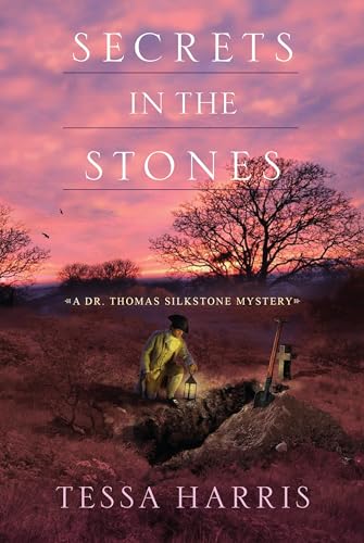Secrets in the Stones book cover