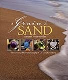 Grain Of Sand Natures Secret Wonder