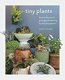 Tiny Plants Discover The Joys Of Growing And Collecting Itty Bitty Houseplants