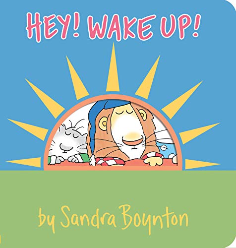 Hey! Wake Up! book cover