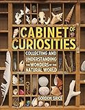 Cabinet Of Curiosities Collecting And Understanding The Wonders Of The Natural World