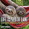 Life in the Sloth Lane: Slow Down and Smell the Hibiscus