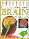 Brain & Nerves (Look at Your Body)