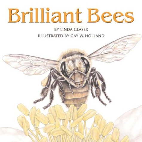 Cover of Brilliant Bees