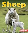 Sheep (First Step Nonfiction: Farm Animals)