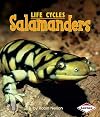 Salamanders (First Step Nonfiction: Life Cycles)