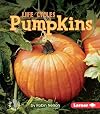 Pumpkins (First Step Nonfiction: Life Cycles)