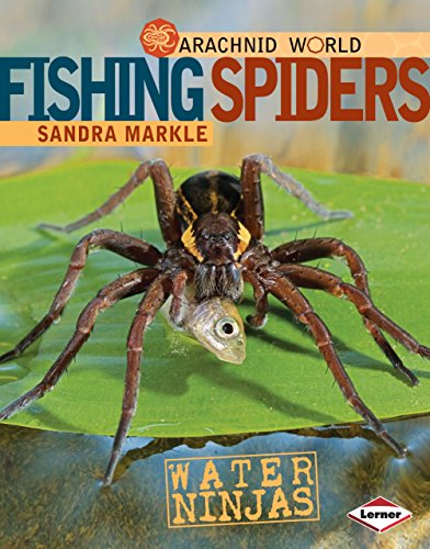 Cover of Fishing spiders