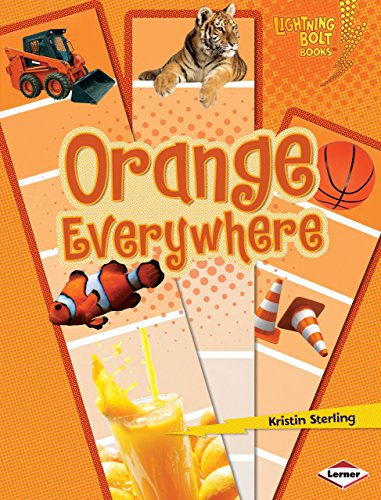 Cover of Orange everywhere