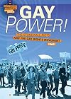 Gay Power!: The Stonewall Riots and the Gay Rights Movement, 1969 (Civil Rights Struggles Around the World)