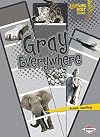 Gray Everywhere (Lightning Bolt Books: Colors Everywhere)