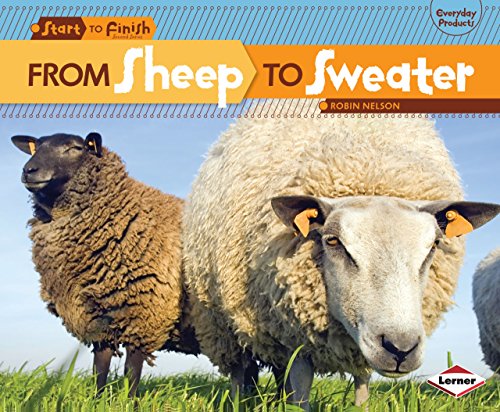 Cover of From sheep to sweater