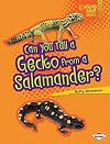 Can you tell a gecko from a salamander?