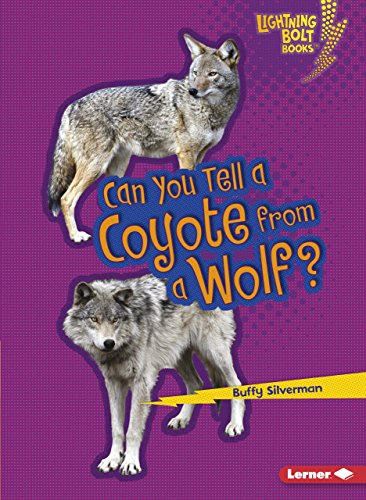 Cover of Can You Tell a Coyote from a Wolf?