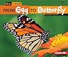 From Egg to Butterfly (Start to Finish: Second Series)