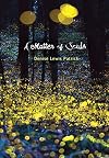 A Matter of Souls (Fiction - Young Adult)