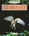How Birds Fly (Nature's Mysteries)