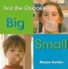 Big / Small (Bookworms: Just the Opposite)