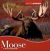 Moose (animalsanimals)