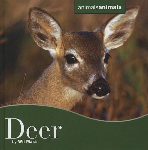 Deer book cover