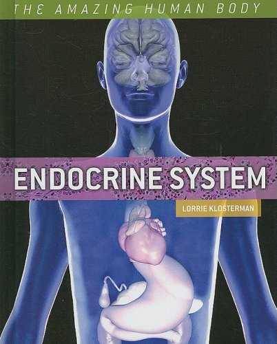 Cover of Endocrine system