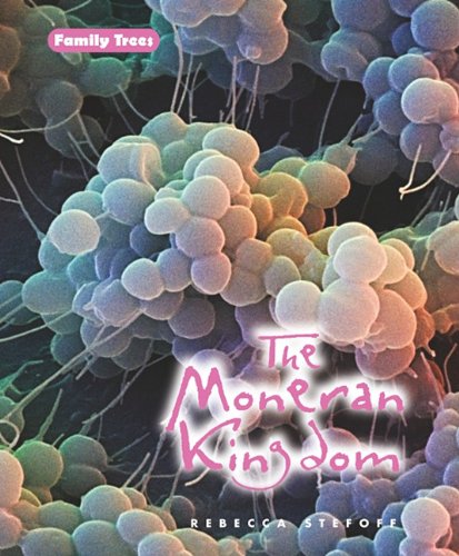 Cover of The Moneran kingdom