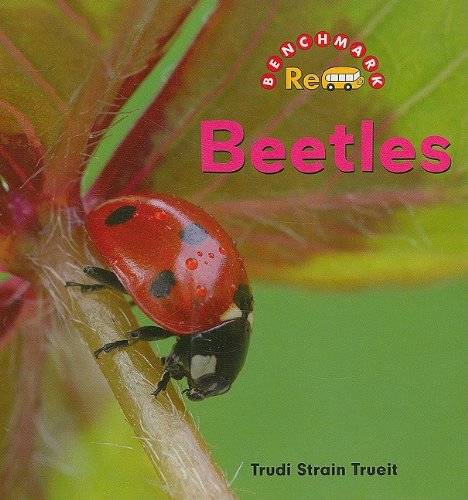Beetles book cover