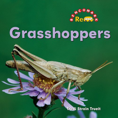 Grasshoppers book cover