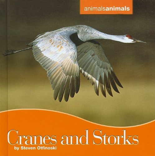 Cranes and Storks (By: Steven Otfinoski) cover
