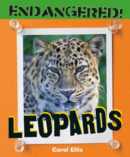 Cover of Leopards