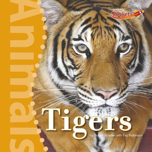 Cover of Tigers