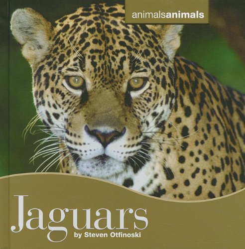 Jaguars book cover