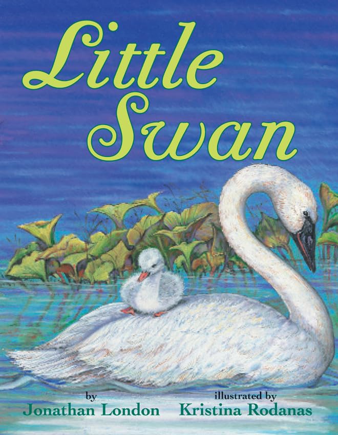 Little Swan book cover