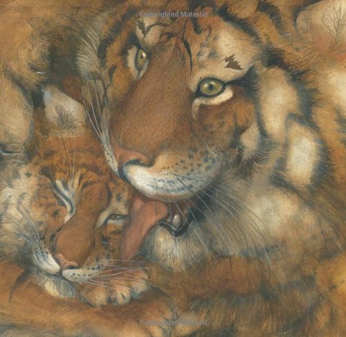 Little Lost Tiger book cover