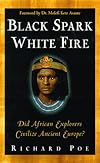 Black Spark, White Fire: Did African Explorers Civilize Ancient Europe?
