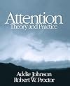 Attention: Theory and Practice