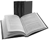 Twentieth Century International Relations