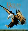 Birds of Prey: Hunters of the Sky