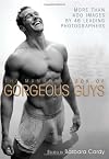 The Mammoth Book of Gorgeous Guys
