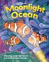 Moonlight Ocean (Lightbeam Books)