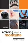 Amazing Animals of Montana: Incredible True Stories (Amazing Animals)