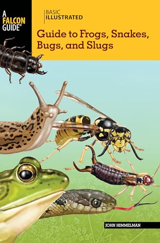 Basic Illustrated Guide to Frogs, Snakes, Bugs, and Slugs book cover