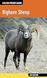 Bighorn Sheep Falcon Pocket Guides
