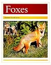 Foxes (PM Animal Facts: Nocturnal Animals)
