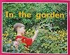 In the Garden (Rigby PM Plus Starters)