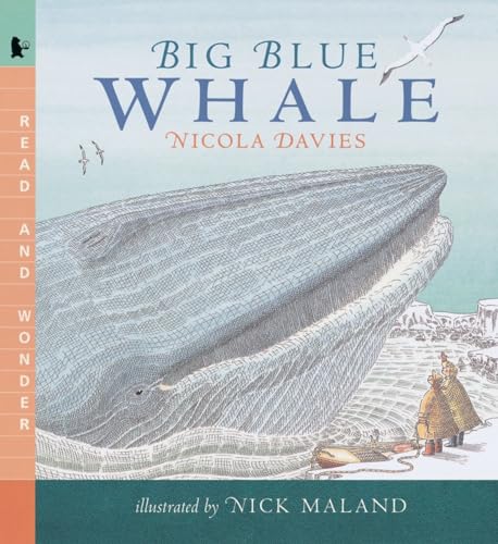Big Blue Whale: Read and Wonder (By: Nick Maland,Nicola Davies) cover